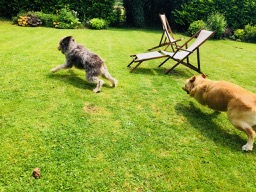 Me chasing Charlie