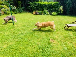 I can run like a running thing!