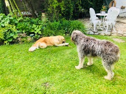 Sorry Charlie, I'm chewing it now!