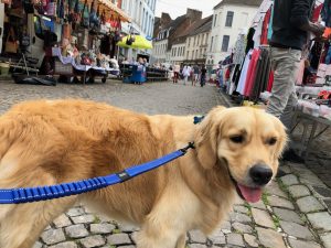 The market in Hesdin is actually half decent. He must have found this by chance, judging by his earlier record!