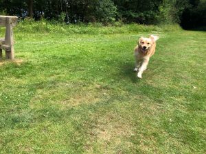 This is me at Mercer's Park demonstrating the need for speed!