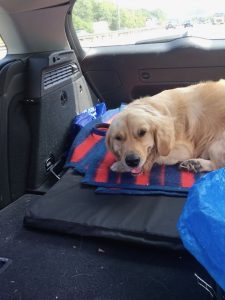 I discovered that with all the windows down, I was getting quite a breeze ... luvely!