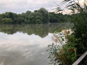 There was steam coming off the surface of Bay Pond!