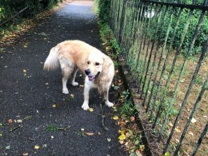 The only problem with rainy days is that my undercarriage gets very wet and dirty!