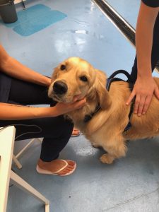 At Hydro Hounds my personal therapists really know how to give a boy a good time!