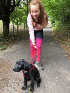 My new friends Harry (the Labrador) and Lilly (the human)!