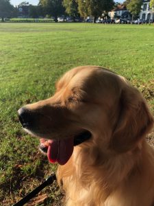 Posing for my fans on The Green but the sun got in my eyes!
