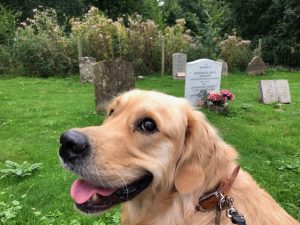 A marginally better photo for my fans in the Church Yard!