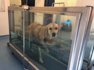 This is me in one of my wimming sessions. It's really difficult to walk through that water!