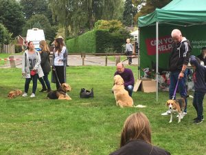 I'll do my best but what on earth do you expect a dog to do to help on the stall?!