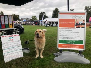I'll do my best but what on earth do you expect a dog to do to help on the stall?!
