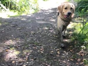 Looking back, I think I was really quite muddy last Sunday!