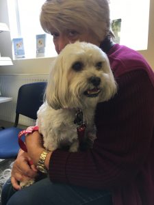 Auntie Vicky and her friend Maisy. Maisy was feeling a little under the weather, so we had to be gentle!