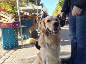 This is me in the market at Le Crotoy on Friday morning. It was all about socks!!!!