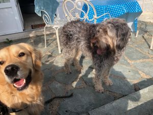 Charlie and I just takin' some rays on the patio at his house!