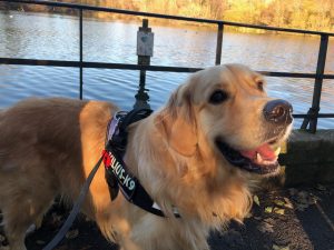 The weather is better today and I had a lovely walk!