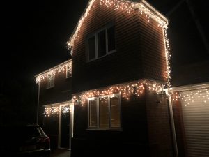 The lights are up. Christmas is definitely coming and that means pwesants!!!
